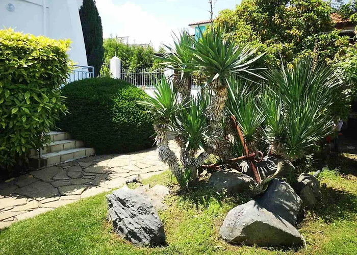 Black Sea Pearl 4* 切尔诺莫雷茨