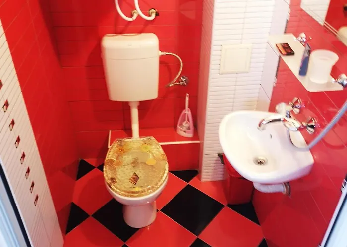 Black Sea Pearl 招待所 4*